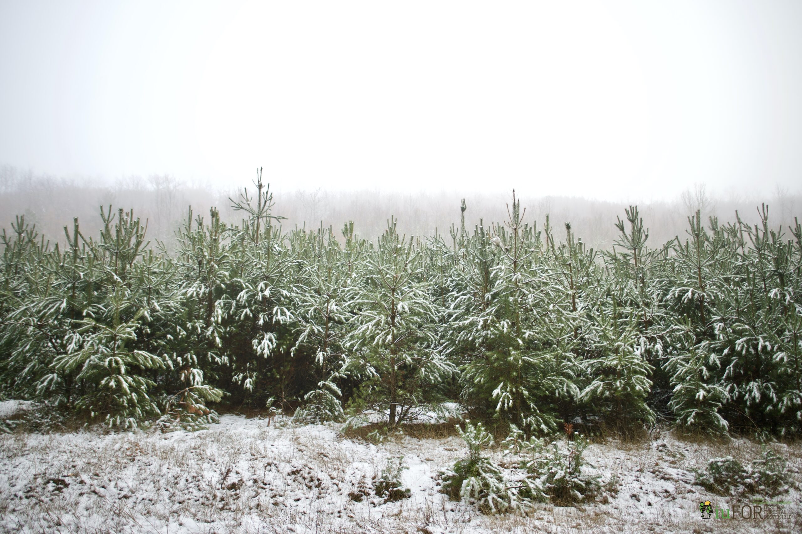 39657638705_028f04620c_o (2)