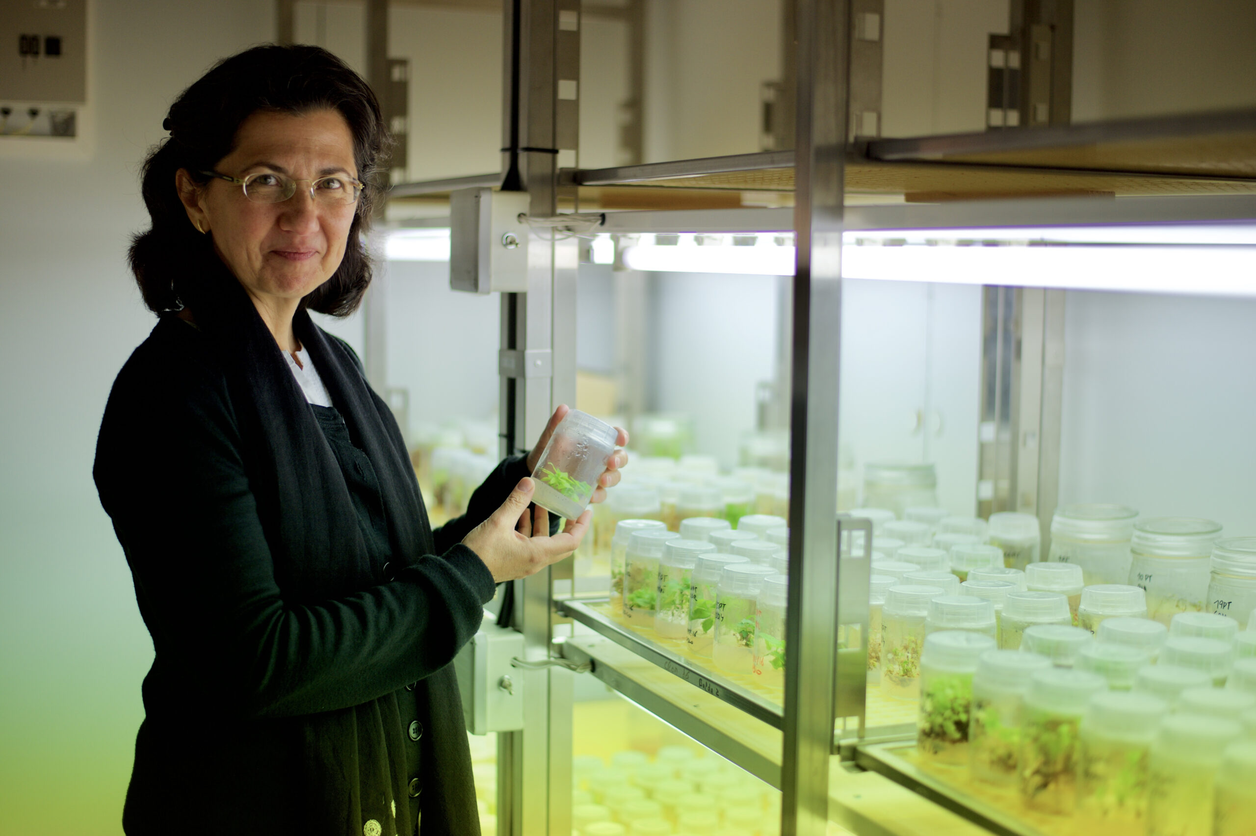 32590295132_94364de9cd_o