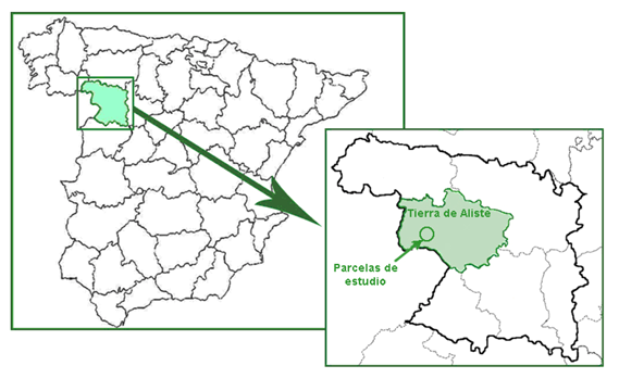 Captura de pantalla 2023-09-19 100530