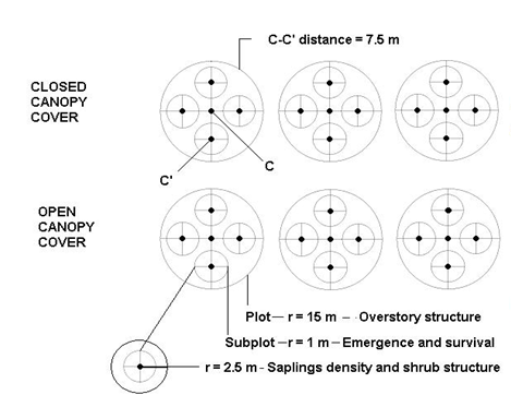 Captura de pantalla 2023-09-21 103153