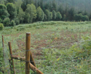 Captura de pantalla 2023-09-21 104038